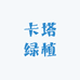 卡塔绿植