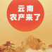 云南农产来了