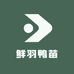 鲜羽鸭苗园