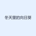 冬天里的向日葵