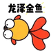 龙泽金鱼兰寿泰狮高端金鱼
