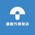 盛雅方商贸店