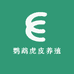 鹦鹉虎皮养殖