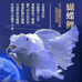 灵动水族观赏鱼批发