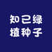 知己绿植种子