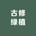 古修绿植