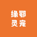 缘鄂灵宠