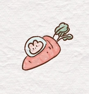 萝卜飞船