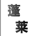 LIESA蓬莱服饰个体店