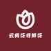 云南花寻鲜花