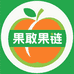 果敢果链