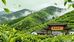 厚泽春茶厂