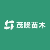 叙福楼茂晓果树苗木专卖店