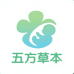 五方草本