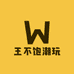 王不饱潮玩