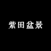 紫田盆景