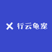 行云龟宠