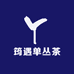 筠遇单丛茶