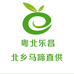粤北乐昌九峰山黄金奈李