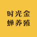 时光家的知了猴