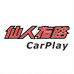 仙人指路CarPlay企业店