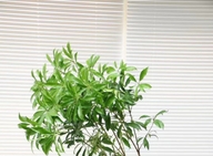 智享生活家居体验店