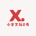 小宇文玩2号