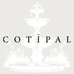 COTIPAL官方海外旗舰店