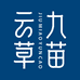 九苗云草
