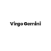 VirgoGemini工厂店