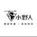 小野户外照明