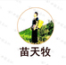 苗天牧生鲜