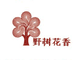 凤枝茶坊高山凤凰单丛