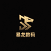 暴龙数码配件