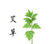 南阳宛艾甄选堂