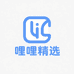 哩哩精选店