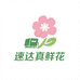 速达真鲜花全国同城配送