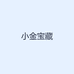 小金宝藏