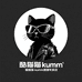 酷猫猫 kumm墨镜