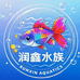 润鑫水族精品小铺