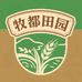 牧都田园燕麦米稀