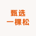 甄选一棵松