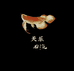 天乐龙鱼