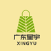 广东星宇