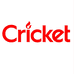 Cricket识趣打火机专卖店