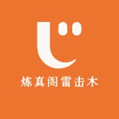 炼真阁雷击木