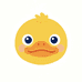 KBDUCK
