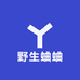 曲阜名产地野生蛐蛐
