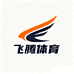 飞腾体育用品严选店