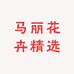 马丽花卉精选